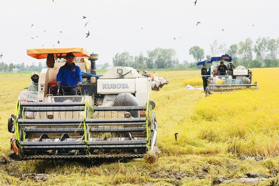 ĐBSCL đang đối diện với nhiều nghịch lý phát triển ĐBSCL đang đối diện với nhiều nghịch lý phát triển