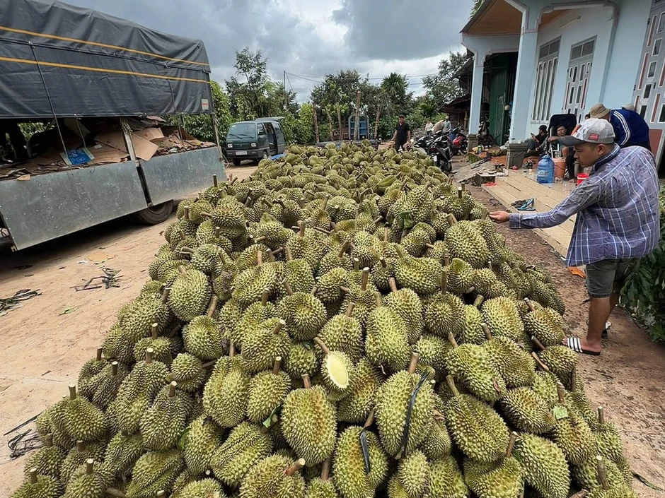 Để nông sản tỷ đô không vỡ trận xuất khẩu: Minh bạch thủ tục, lập lại trật tự Để nông sản tỷ đô không vỡ trận xuất khẩu: Minh bạch thủ tục, lập lại trật tự