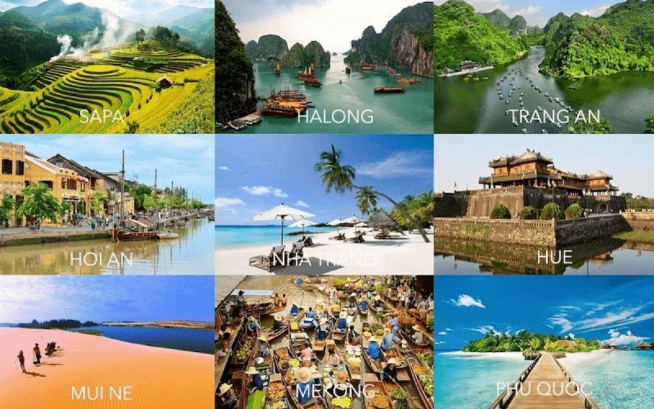Để Việt Nam tham gia sâu hơn vào những phân khúc giá trị cao Để Việt Nam tham gia sâu hơn vào những phân khúc giá trị cao