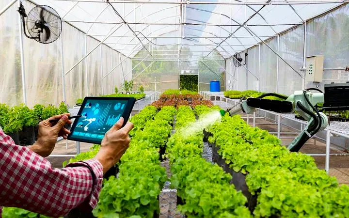 Đề xuất cắt giảm 40 điều kiện đầu tư nông nghiệp Đề xuất cắt giảm 40 điều kiện đầu tư nông nghiệp