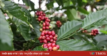 Đề xuất cắt giảm 40 thủ tục, 40 điều kiện kinh doanh trong nông nghiệp