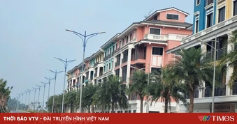 Đề xuất cơ chế đặc thù cho đặc khu kinh tế