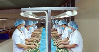 Đề xuất giảm thuế nhập khẩu phân bón xuống 0%