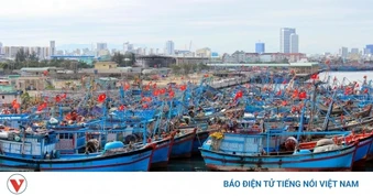Đề xuất lắp VMS từ tàu 12m: Siết quản lý khai thác IUU