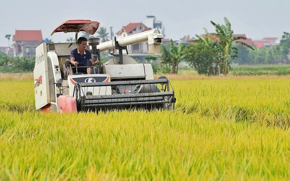 Đề xuất minh bạch cơ chế chỉ định thương nhân xuất khẩu gạo Đề xuất minh bạch cơ chế chỉ định thương nhân xuất khẩu gạo