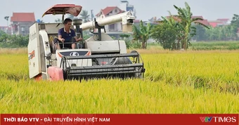 Đề xuất minh bạch cơ chế chỉ định thương nhân xuất khẩu gạo