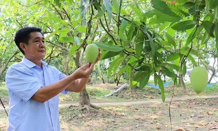 Đề xuất xây dựng "bản đồ vùng nguyên liệu" Đề xuất xây dựng "bản đồ vùng nguyên liệu"