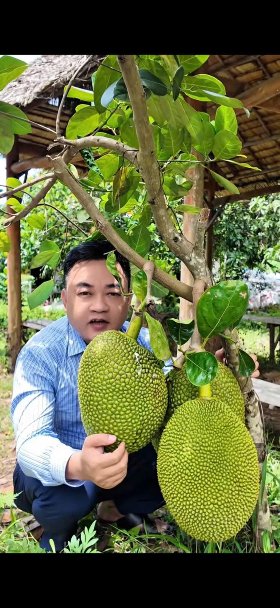 'Đi chợ xứ người' Công ty TNHH A&D tìm đường cho trái mít Việt