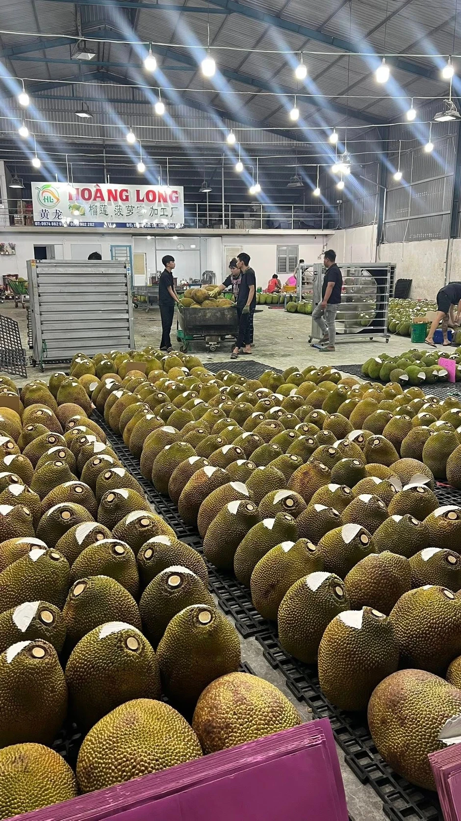 'Đi chợ xứ người' Công ty TNHH A&D tìm đường cho trái mít Việt