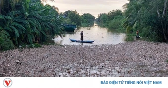 Di dời cơ sở chăn nuôi ra khỏi khu vực cấm được hỗ trợ kinh phí
