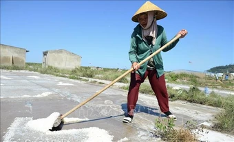 Diêm dân mưu sinh giữa cái nắng gay gắt như đổ lửa