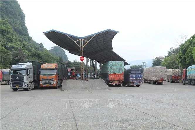 Điểm tin kinh tế Việt Nam nổi bật ngày 12/5/2026 Điểm tin kinh tế Việt Nam nổi bật ngày 12/5/2026
