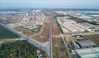 Điểm tin kinh tế Việt Nam nổi bật ngày 12/5/2026
