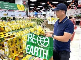 Điểm tin kinh tế Việt Nam nổi bật ngày 29/7/2026