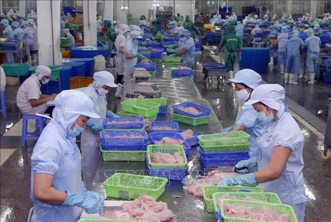 Điểm tin kinh tế Việt Nam nổi bật ngày 30/7/2026 Điểm tin kinh tế Việt Nam nổi bật ngày 30/7/2026