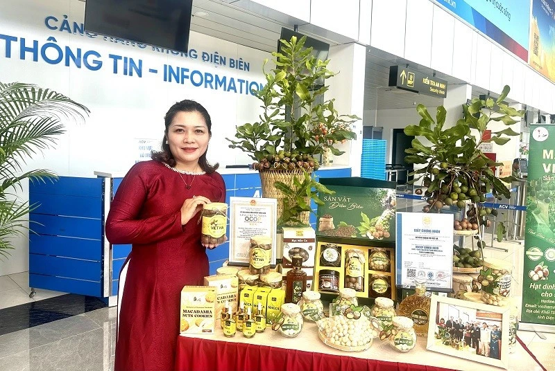 Điện Biên bàn giao sản phẩm nhân hạt mắc-ca cho Tổng Công ty Hàng không Việt Nam Điện Biên bàn giao sản phẩm nhân hạt mắc-ca cho Tổng Công ty Hàng không Việt Nam