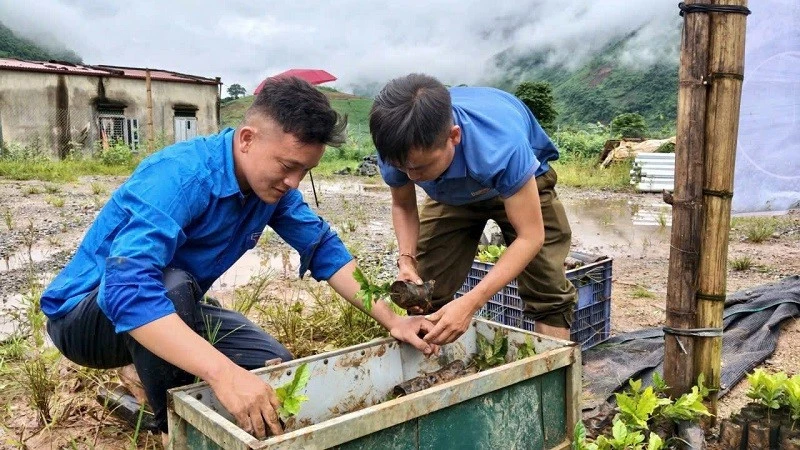Điện Biên tìm giải pháp khoa học hiện thực hóa mục tiêu phát triển nông nghiệp xanh Điện Biên tìm giải pháp khoa học hiện thực hóa mục tiêu phát triển nông nghiệp xanh