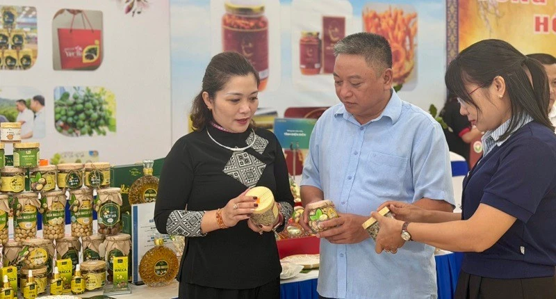 Điện Biên tìm giải pháp khoa học hiện thực hóa mục tiêu phát triển nông nghiệp xanh Điện Biên tìm giải pháp khoa học hiện thực hóa mục tiêu phát triển nông nghiệp xanh