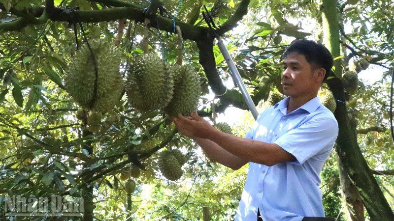 Điều chỉnh quy hoạch: Đắk Lắk xác lập tầm nhìn chiến lược để hiện thực hóa khát vọng phát triển nhanh, bền vững Điều chỉnh quy hoạch: Đắk Lắk xác lập tầm nhìn chiến lược để hiện thực hóa khát vọng phát triển nhanh, bền vững