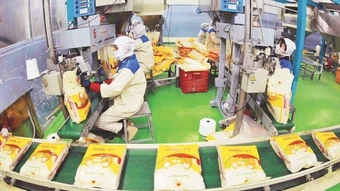 Điều hành sản xuất và tiêu thụ lúa gạo trong tình hình mới
