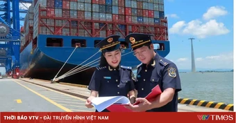 Điều kiện miễn thuế hạt giống nhập khẩu