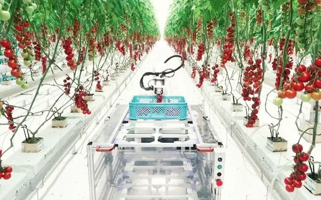 Điều kiện thành lập khu nông nghiệp ứng dụng công nghệ cao Điều kiện thành lập khu nông nghiệp ứng dụng công nghệ cao