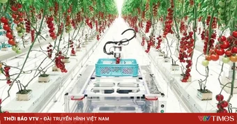Điều kiện thành lập khu nông nghiệp ứng dụng công nghệ cao