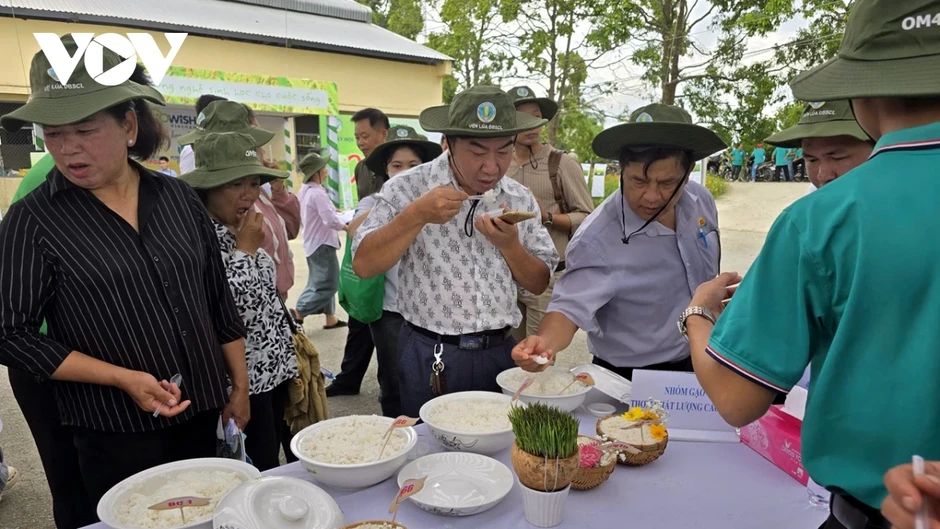 Định vị gạo Việt trên bản đồ thế giới từ giống lúa chất lượng cao Định vị gạo Việt trên bản đồ thế giới từ giống lúa chất lượng cao