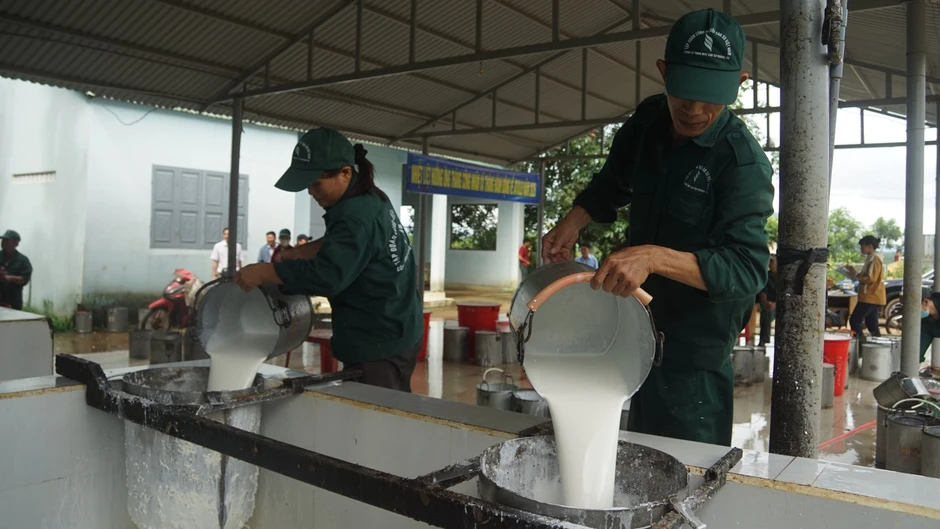 Doanh nghiệp cao-su trên hành trình tăng trưởng xanh, bền vững Doanh nghiệp cao-su trên hành trình tăng trưởng xanh, bền vững