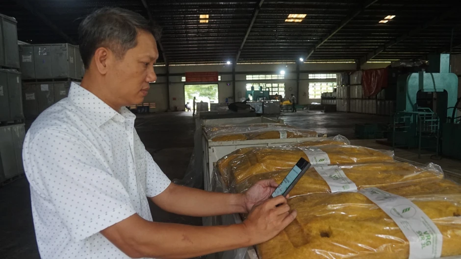 Doanh nghiệp cao-su trên hành trình tăng trưởng xanh, bền vững Doanh nghiệp cao-su trên hành trình tăng trưởng xanh, bền vững