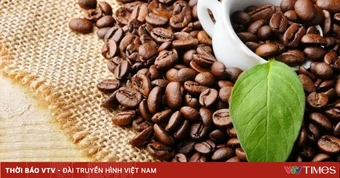 Doanh nghiệp có nguy cơ mất thị trường xuất khẩu nếu chậm chuyển đổi kép