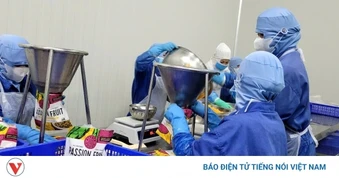 Doanh nghiệp Đồng Tháp nỗ lực giữ nhịp sản xuất trong “bão giá”