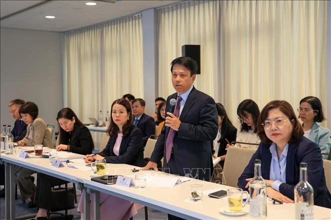 Doanh nghiệp Hà Lan đánh giá cao triển vọng phát triển của Việt Nam Doanh nghiệp Hà Lan đánh giá cao triển vọng phát triển của Việt Nam