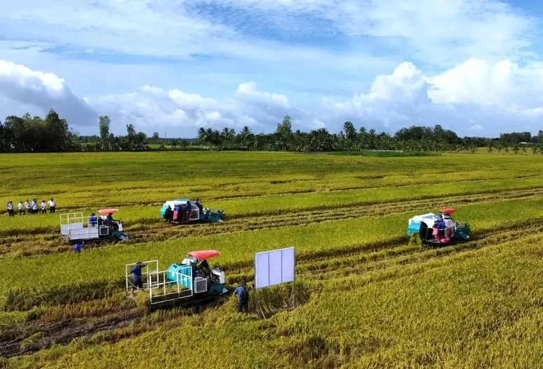 Doanh nghiệp, hiệp hội chung tay giữ nhịp sản xuất nông nghiệp Doanh nghiệp, hiệp hội chung tay giữ nhịp sản xuất nông nghiệp