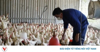 Doanh nghiệp, hiệp hội chung tay giữ nhịp sản xuất nông nghiệp