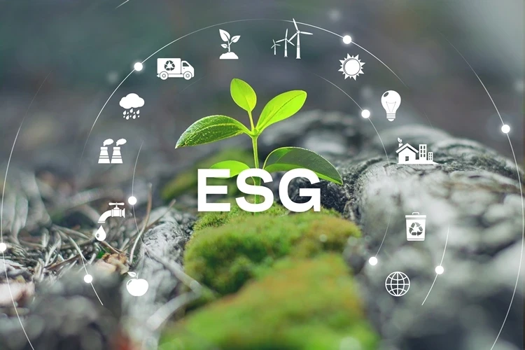 Doanh nghiệp làm ESG thật hay “đánh bóng”: Nhìn vào đâu? Doanh nghiệp làm ESG thật hay “đánh bóng”: Nhìn vào đâu?