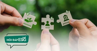 Doanh nghiệp làm ESG thật hay “đánh bóng”: Nhìn vào đâu?