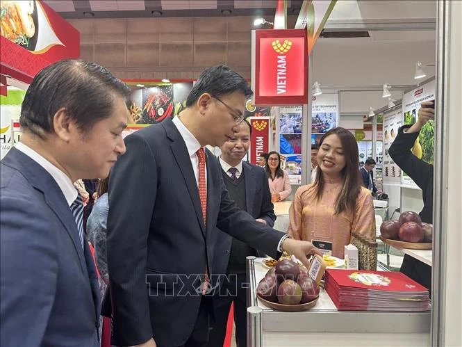 Doanh nghiệp nông sản Việt Nam khẳng định vị thế tại Foodex Japan 2026 Doanh nghiệp nông sản Việt Nam khẳng định vị thế tại Foodex Japan 2026