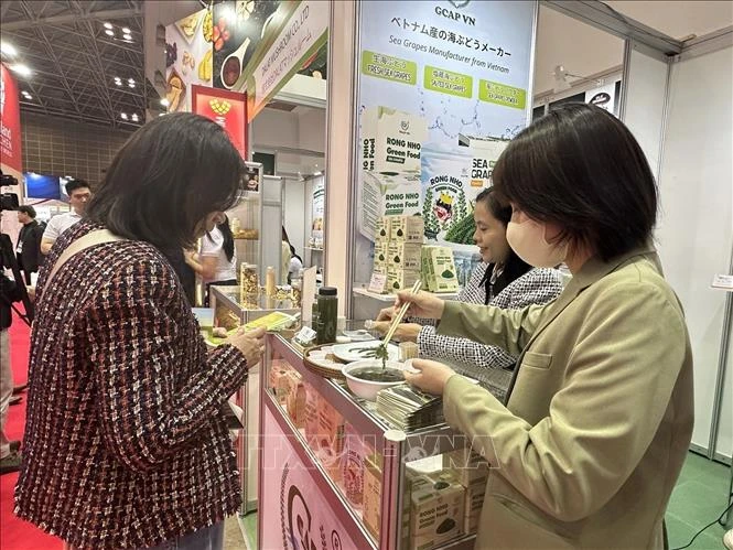 Doanh nghiệp nông sản Việt Nam khẳng định vị thế tại Foodex Japan 2026 Doanh nghiệp nông sản Việt Nam khẳng định vị thế tại Foodex Japan 2026