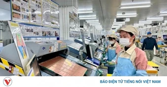 Doanh nghiệp thành lập mới bùng nổ nhưng làn sóng rút lui vẫn chưa hạ nhiệt