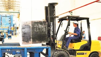 Doanh nghiệp thích ứng, giữ nhịp tăng trưởng