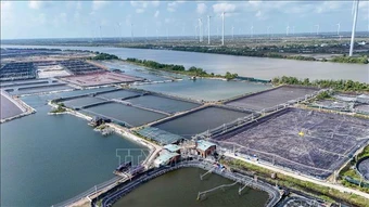 Doanh nghiệp tôm kiến nghị 'nới lỏng' hạn mức đất đai để đầu tư sản xuất lớn