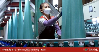 Doanh nghiệp tư nhân: "Đông nhưng chưa mạnh"