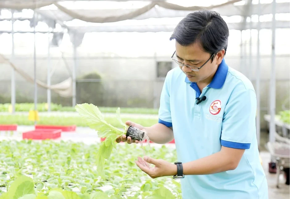 Doanh nghiệp và nông dân tìm cách ứng phó khi giá phân bón leo thang Doanh nghiệp và nông dân tìm cách ứng phó khi giá phân bón leo thang