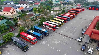 Doanh nghiệp vận tải điều chỉnh hoạt động để giữ giá cước