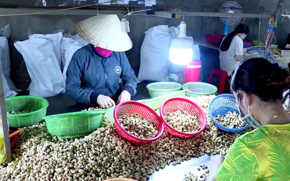 Doanh nghiệp Việt hồi hộp theo dõi các lô hàng xuất đi Trung Đông Doanh nghiệp Việt hồi hộp theo dõi các lô hàng xuất đi Trung Đông