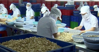 Doanh nghiệp Việt hồi hộp theo dõi các lô hàng xuất đi Trung Đông