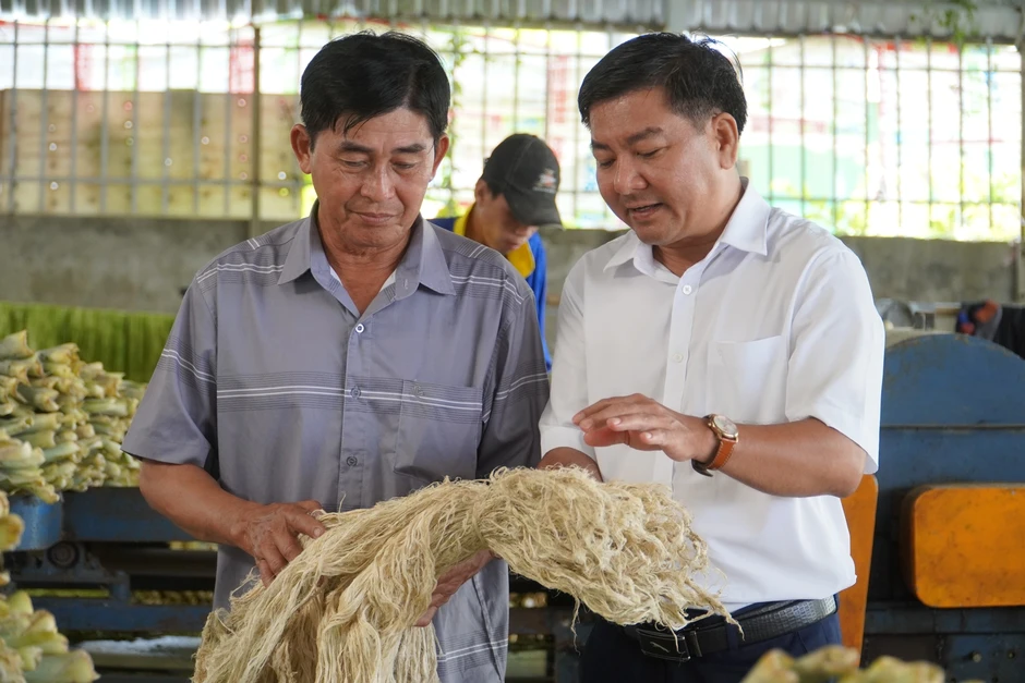 'Đổi đời' cho lá khóm, nông dân miền Tây có thêm thu nhập 'Đổi đời' cho lá khóm, nông dân miền Tây có thêm thu nhập