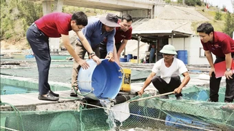 Đòn bẩy vốn giúp phục hồi sản xuất