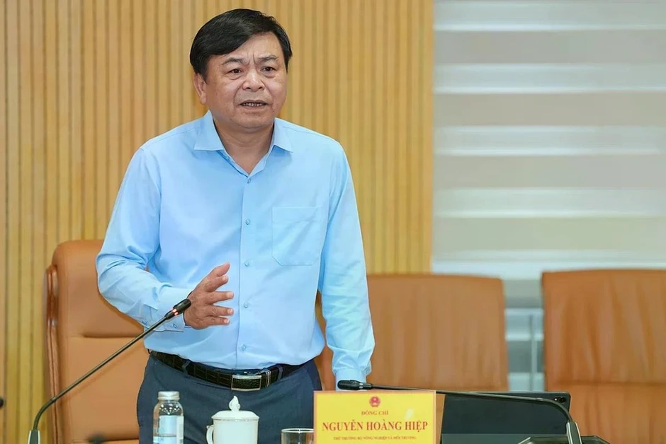 Đơn giản hóa cấp mã số vùng trồng, cơ sở đóng gói phục vụ xuất khẩu nông sản Đơn giản hóa cấp mã số vùng trồng, cơ sở đóng gói phục vụ xuất khẩu nông sản